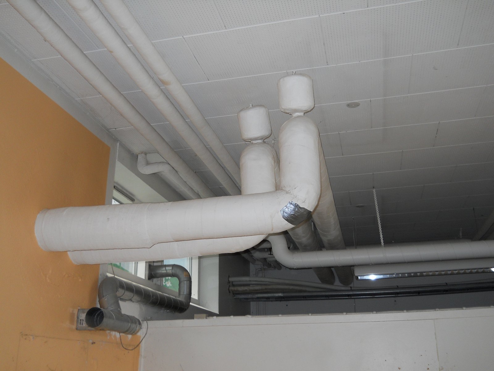 White insulated pipes running along the ceiling and wall of an interior service area.