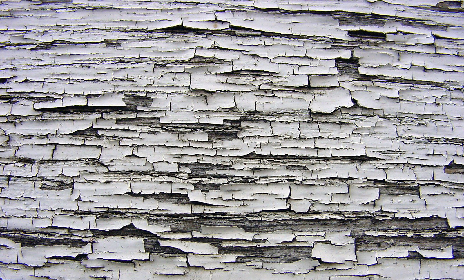 Close-up of white paint peeling from weathered wood.